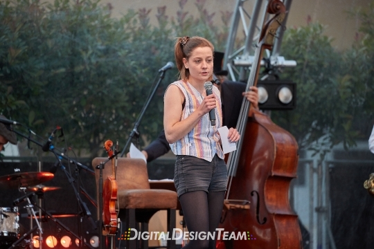 DigitalDesignTeam290A75I1645