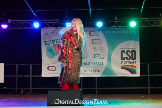 DigitalDesignTeam417AX150565