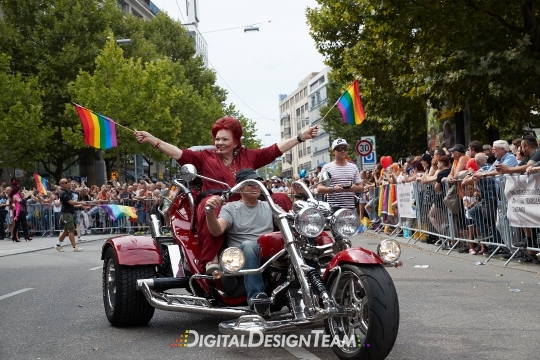 DigitalDesignTeamAX165365