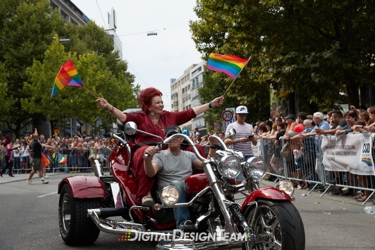 DigitalDesignTeamAX165366