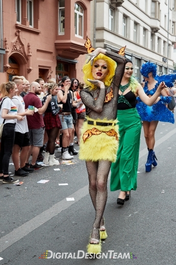 DigitalDesignTeamX2086458