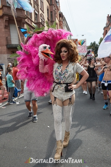 DigitalDesignTeamX2086601