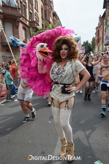 DigitalDesignTeamX2086603