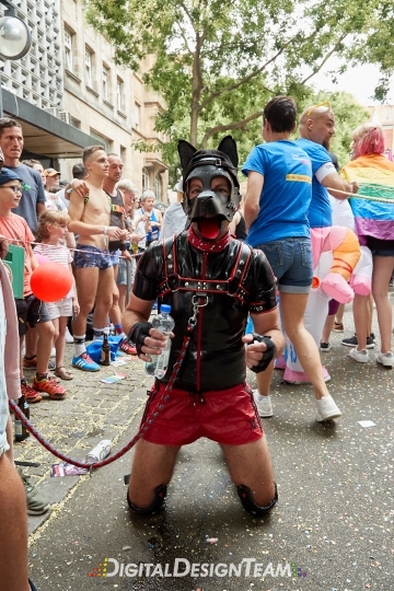 DigitalDesignTeamX2087699