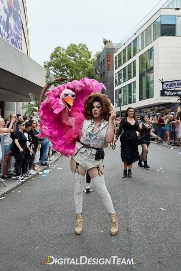 DigitalDesignTeamX2088217