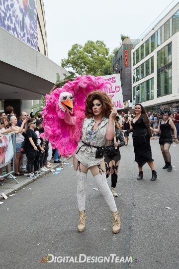 DigitalDesignTeamX2088218